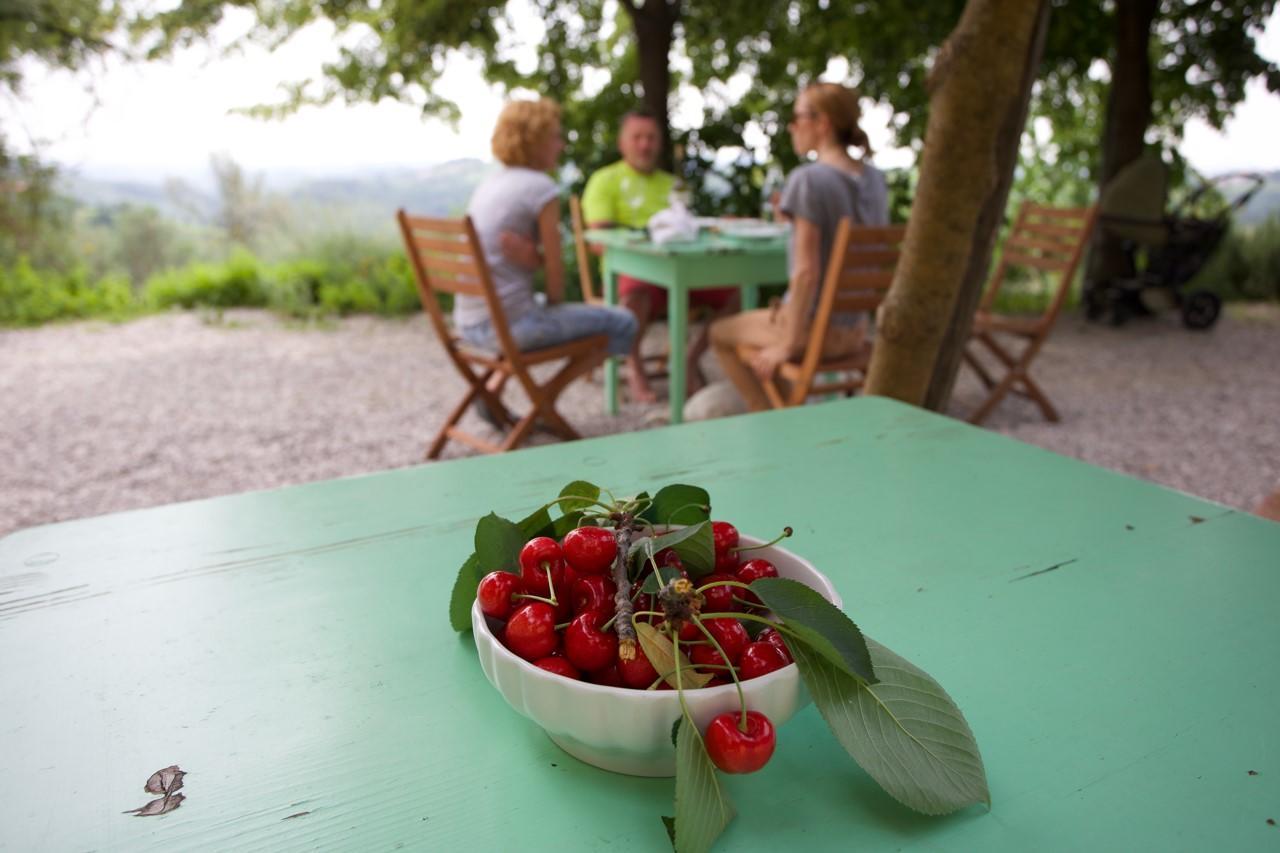 Farmstay Kmetija Stekar Kojsko Exterior photo